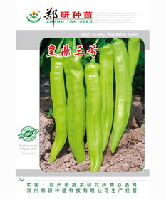 皇鼎三号 天鸿种子网产品中心 最新最全的种子供求信息,辣椒种子,黄瓜种子,番茄种子